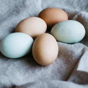Egg